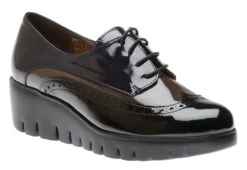 Wonders C3350 Char Navy Pat